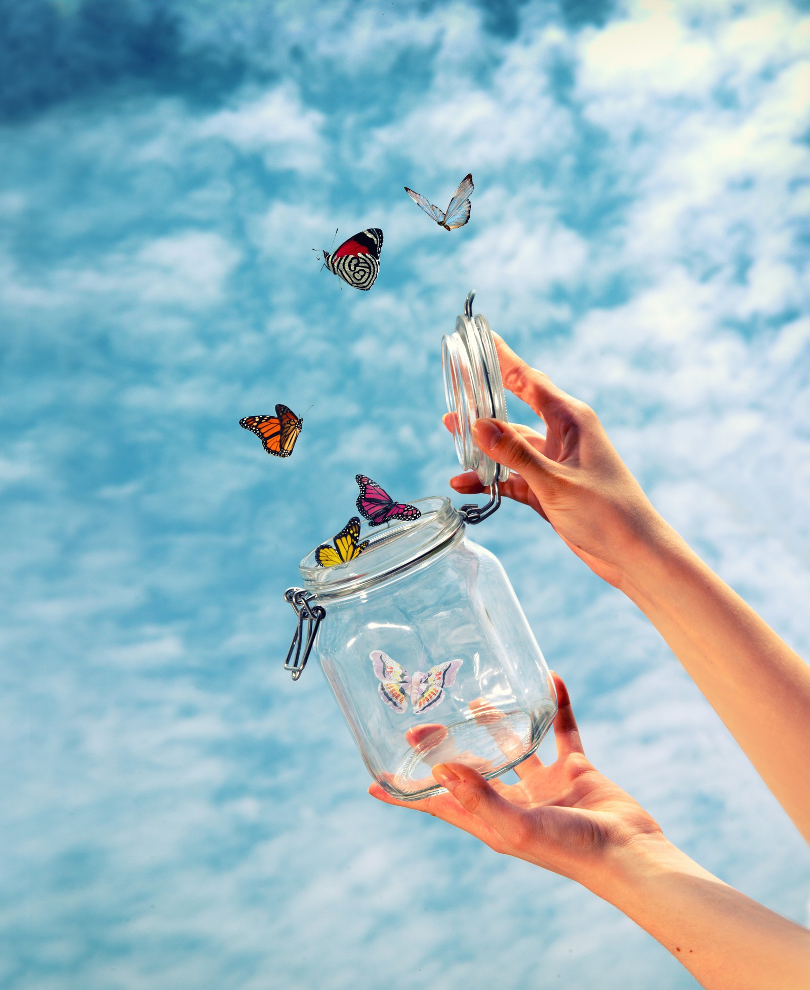 Achieve Wellness: Emotional Release Work Explained