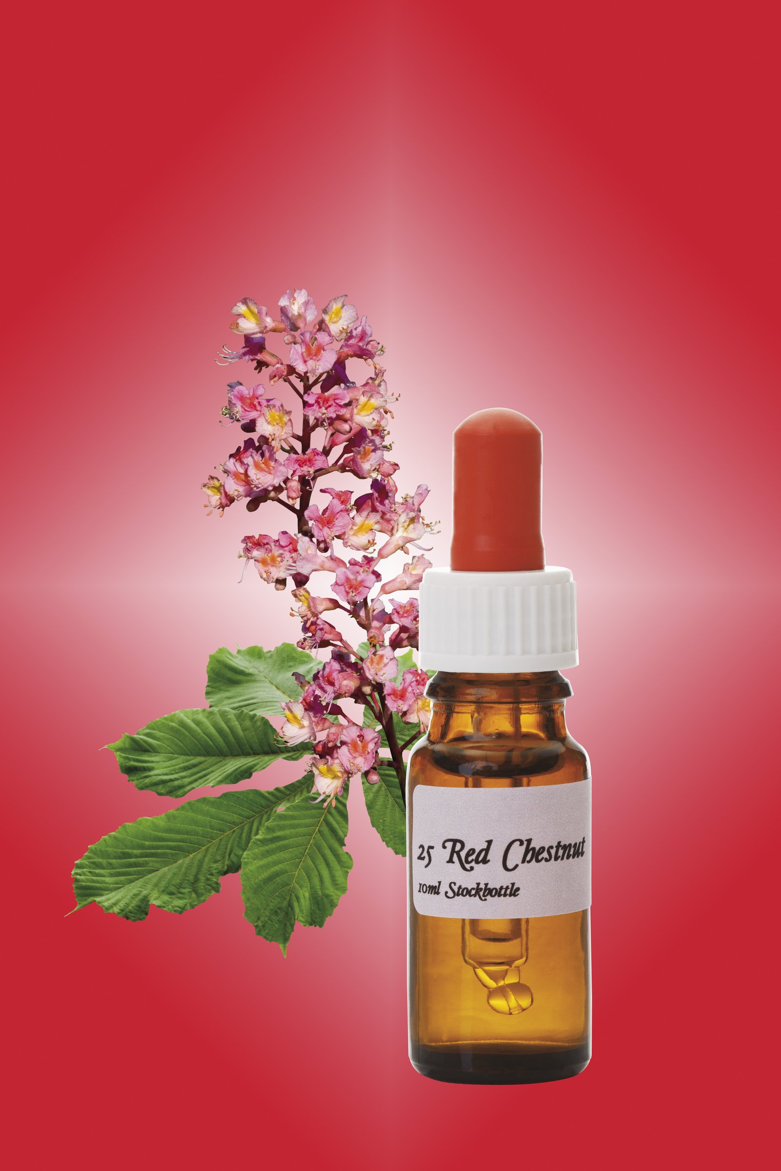 BACH FLOWER REMEDIES